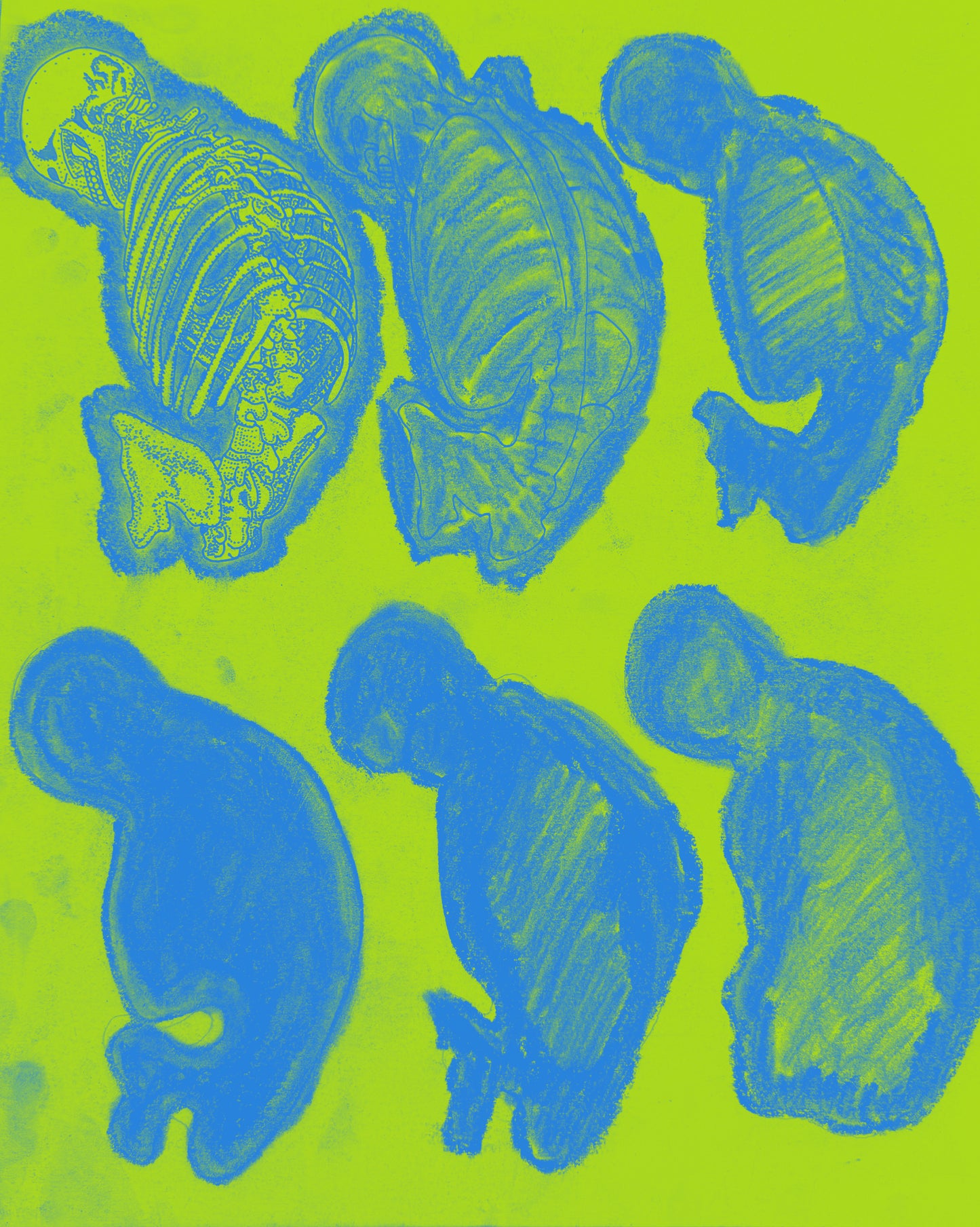 “UNTITLED” - PRINTS