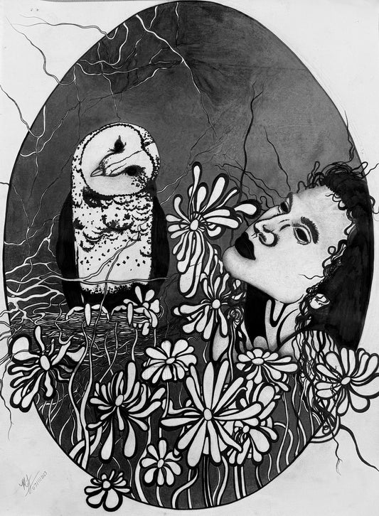 “TYTO ALBA” - PRINTS