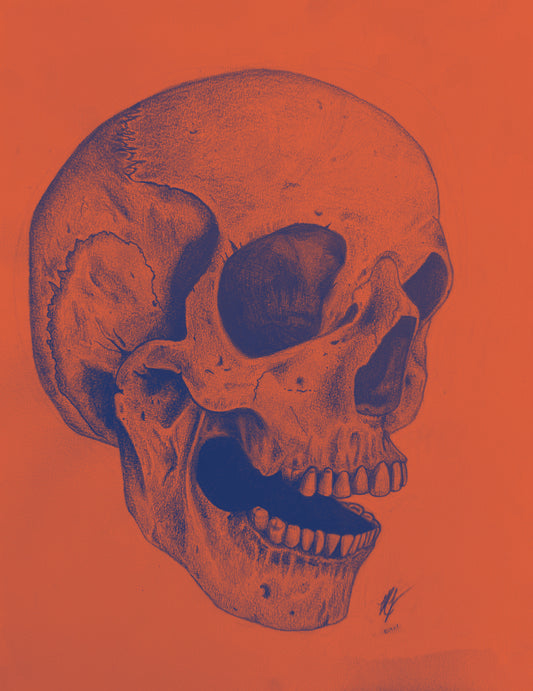 “SKULL STUDY” - PRINTS