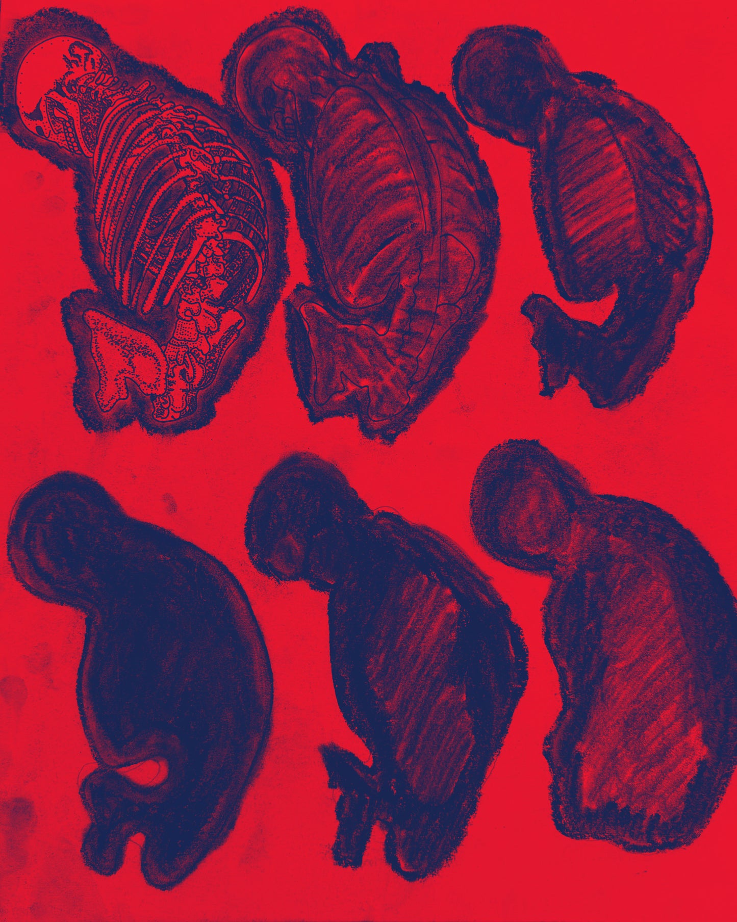 “UNTITLED” - PRINTS