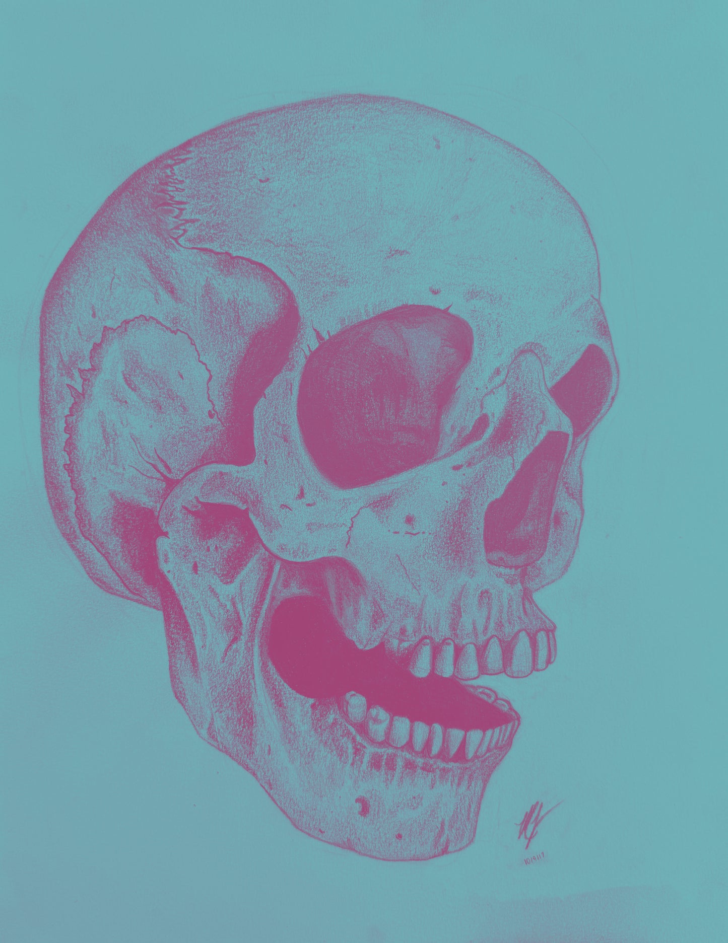 “SKULL STUDY” - PRINTS