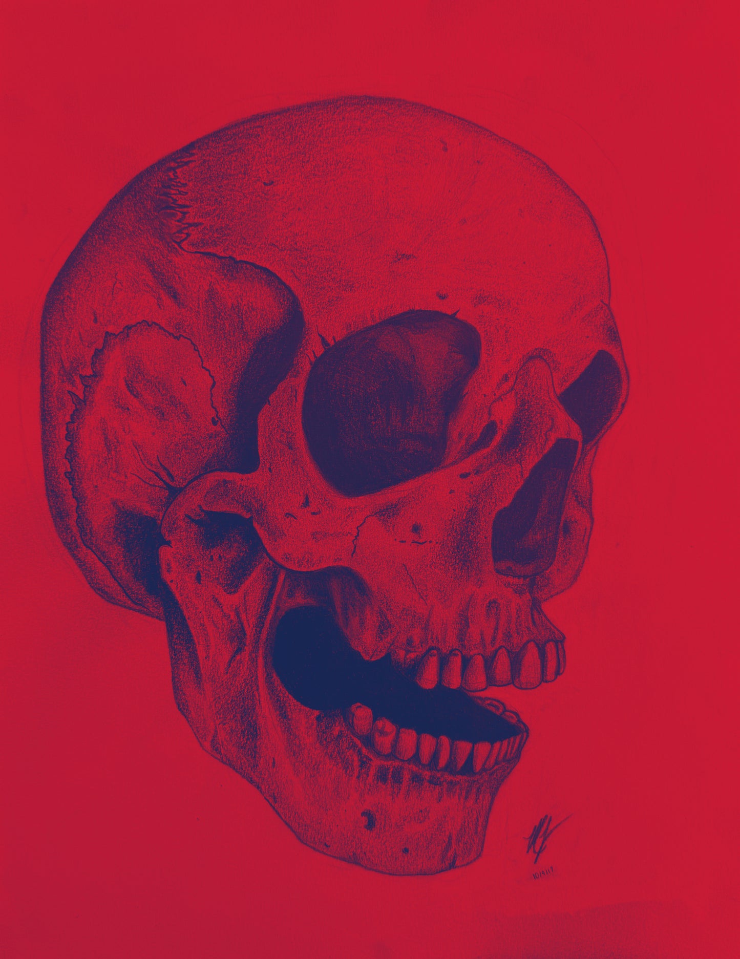 “SKULL STUDY” - PRINTS
