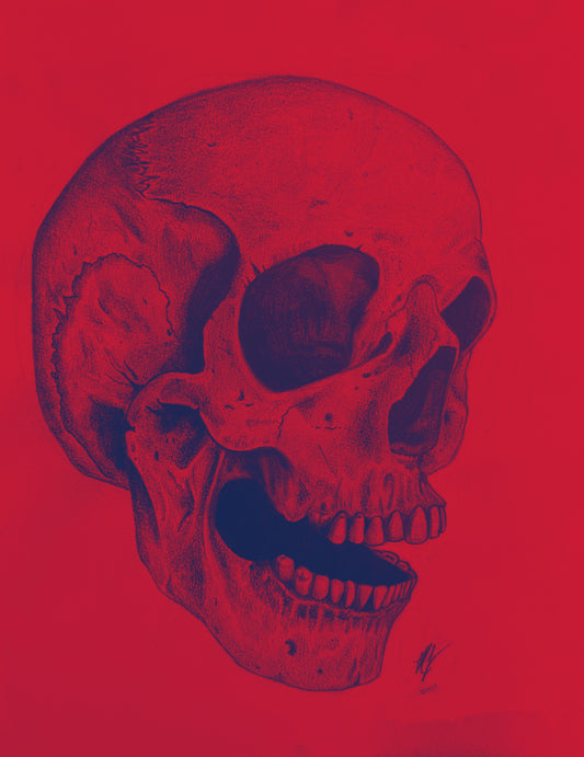 “SKULL STUDY” - PRINTS