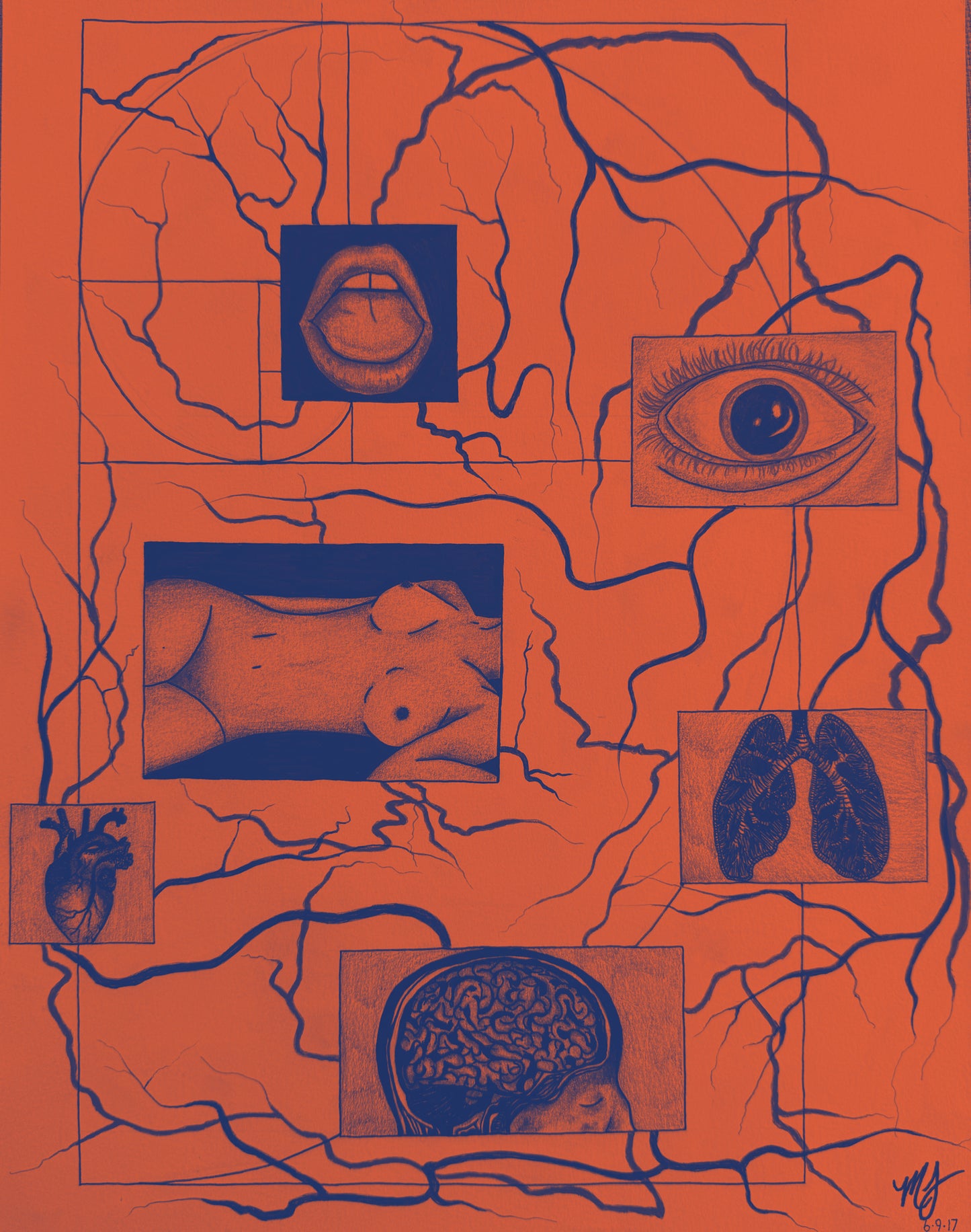 “SACRED ANATOMY” - PRINTS