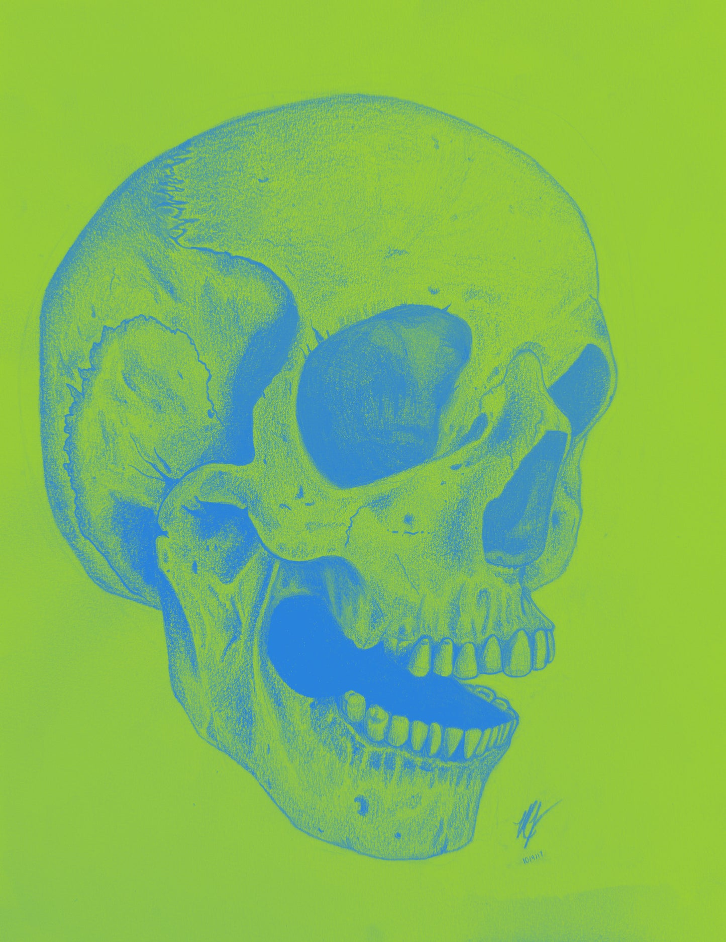 “SKULL STUDY” - PRINTS