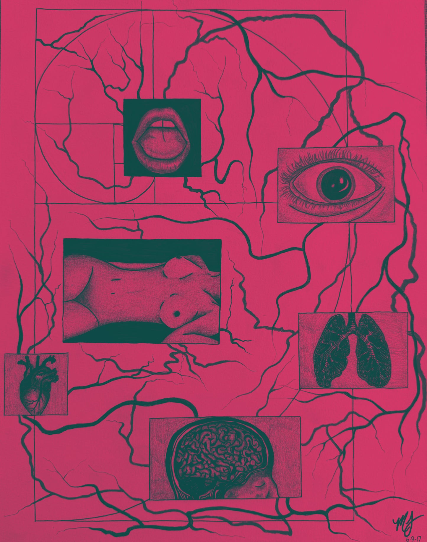 “SACRED ANATOMY” - PRINTS