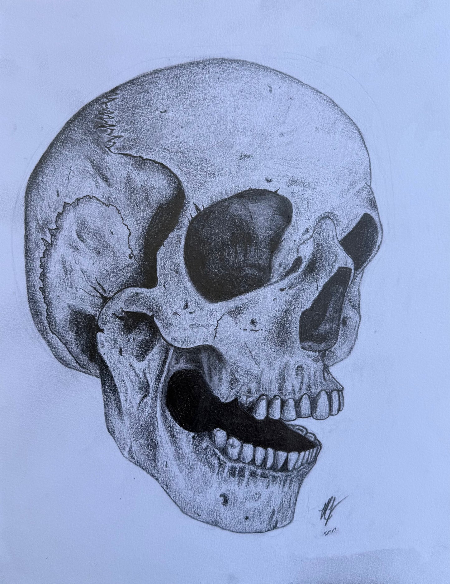 “SKULL STUDY” - PRINTS