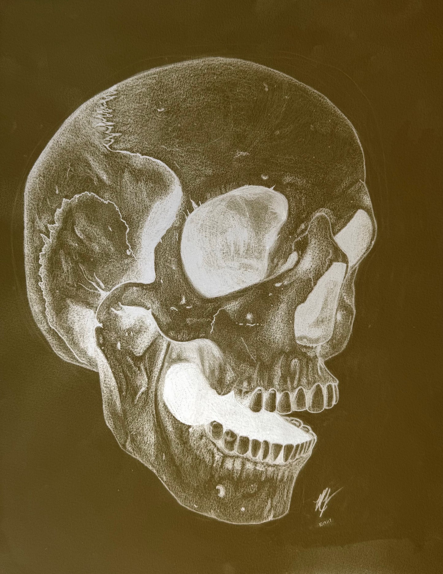 “SKULL STUDY” - PRINTS