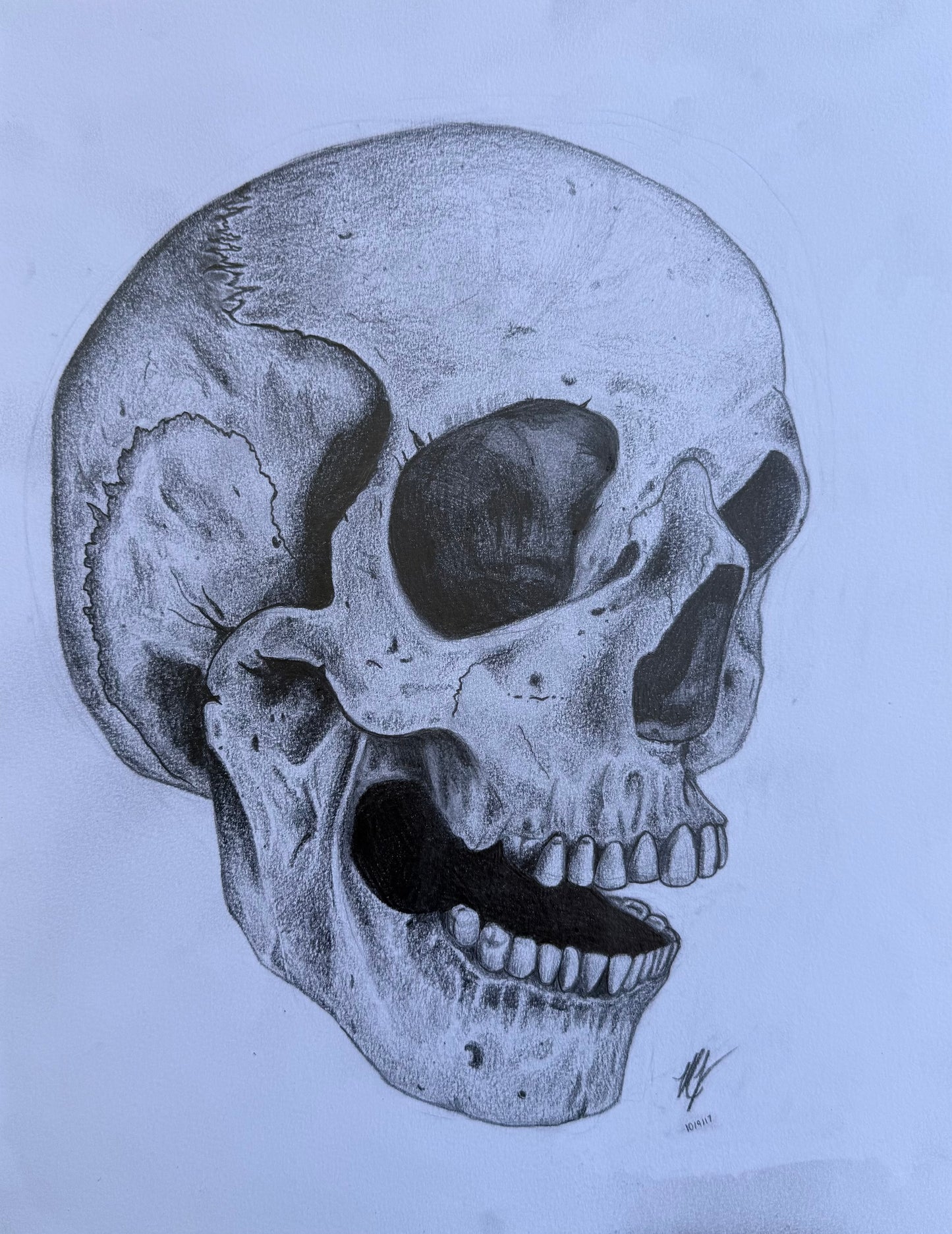 “SKULL STUDY” - ORIGINAL PIECE