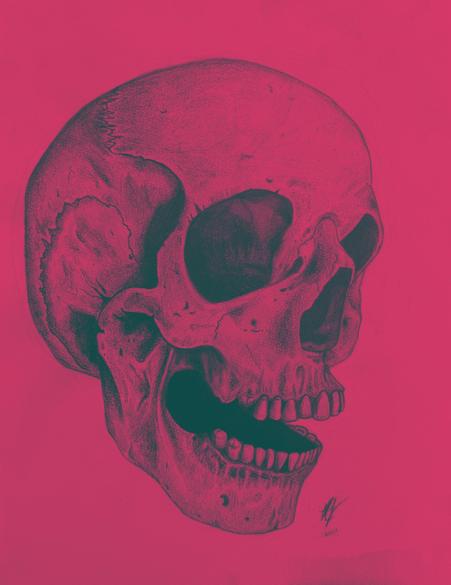 “SKULL STUDY” - PRINTS