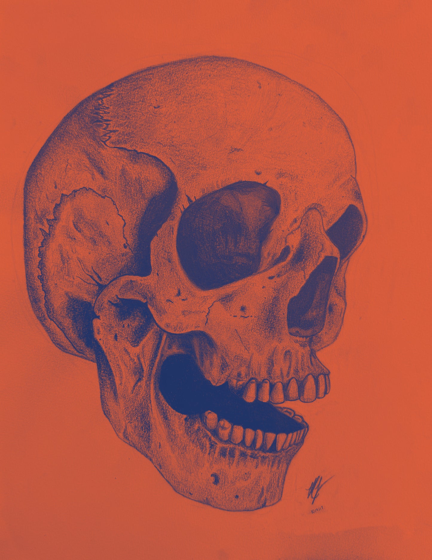 “SKULL STUDY” - PRINTS