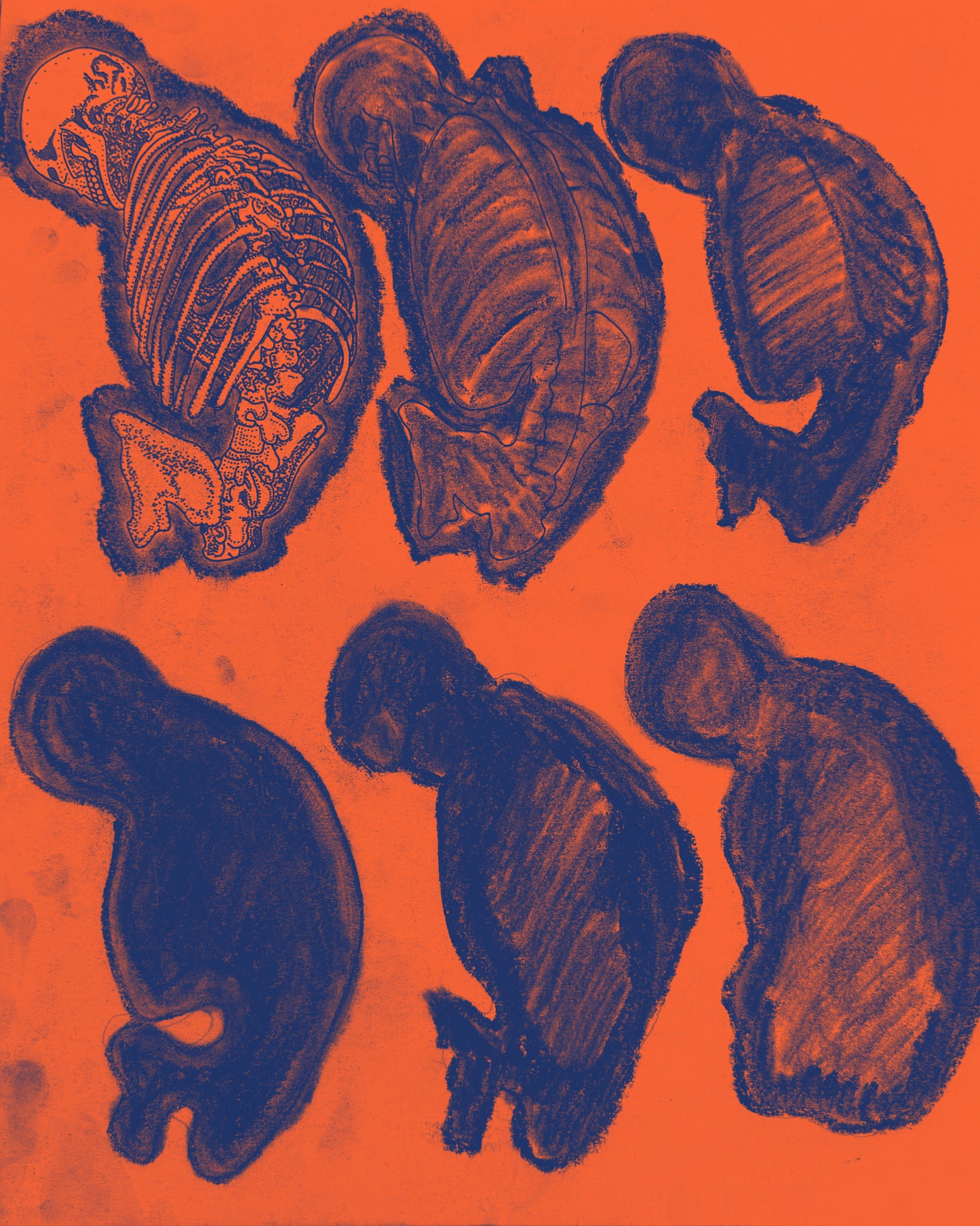 “UNTITLED” - PRINTS