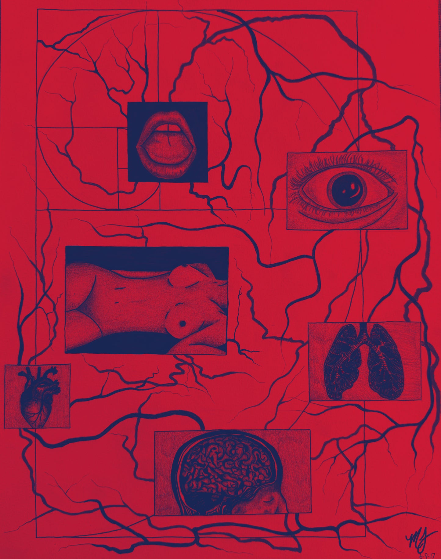 “SACRED ANATOMY” - PRINTS
