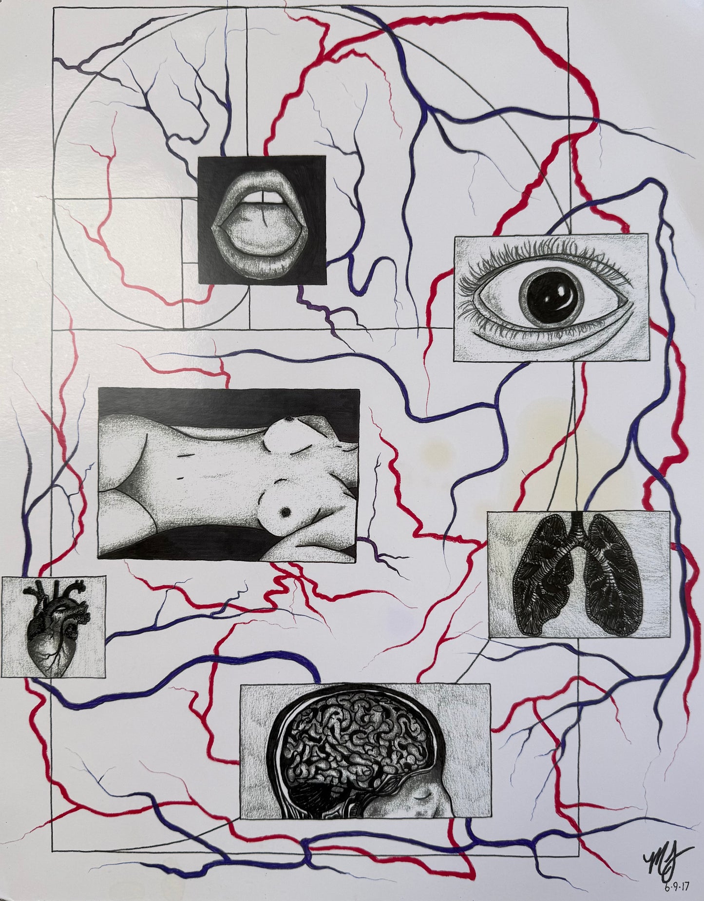 “SACRED ANATOMY” - PRINTS