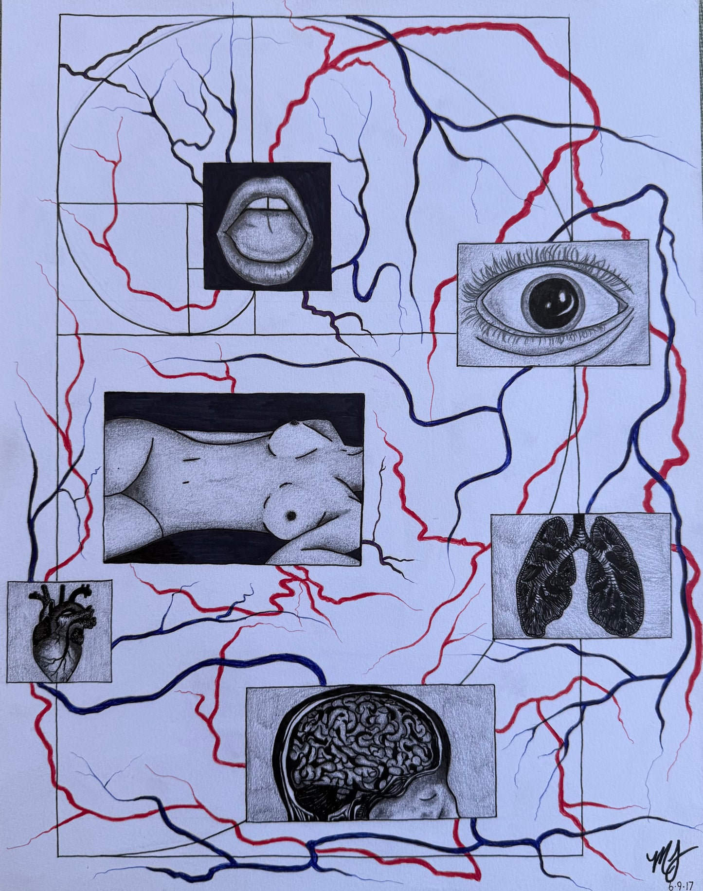 “SACRED ANATOMY” - ORIGINAL PIECE
