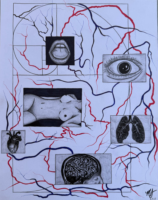 “SACRED ANATOMY” - ORIGINAL PIECE